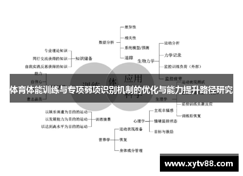 体育体能训练与专项弱项识别机制的优化与能力提升路径研究