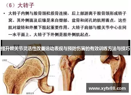 提升髋关节灵活性改善运动表现与预防伤害的有效训练方法与技巧