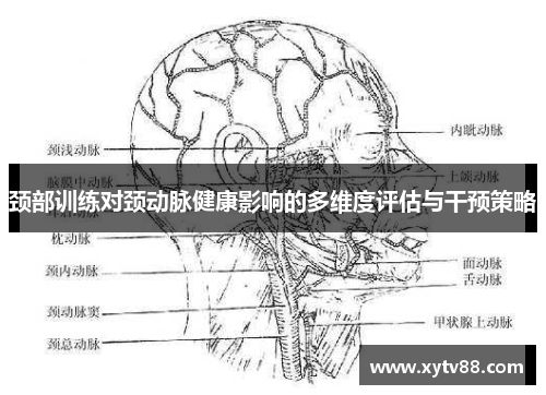 颈部训练对颈动脉健康影响的多维度评估与干预策略